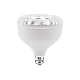 CATA CT-4155 55W Kristal Torch Ampul – Geniş Açılı Aydınlatma