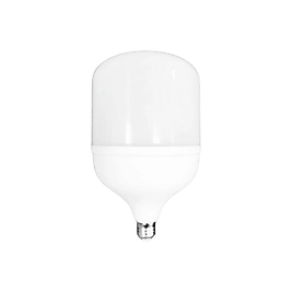 CT-4262 55W Torch Ampul – Beyaz Işık